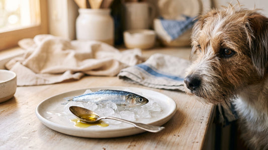 Perro mirando un pescado pequeño de mar y una cuchara con aceite de pescado