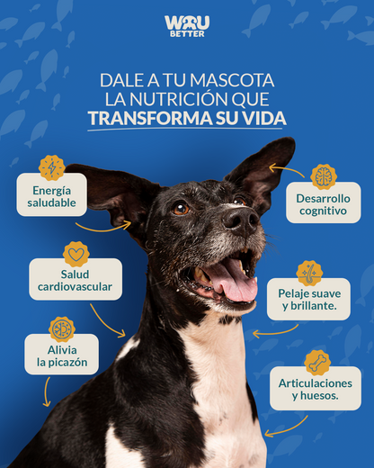 Omega 3 Pesca Salvaje