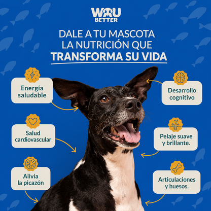 Omega 3 Pesca Salvaje - Rico en EPA y DHA