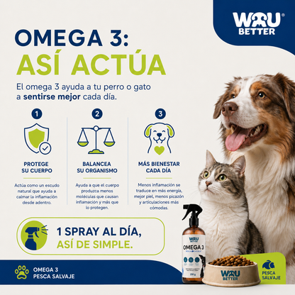 Omega 3 Pesca Salvaje - Rico en EPA y DHA